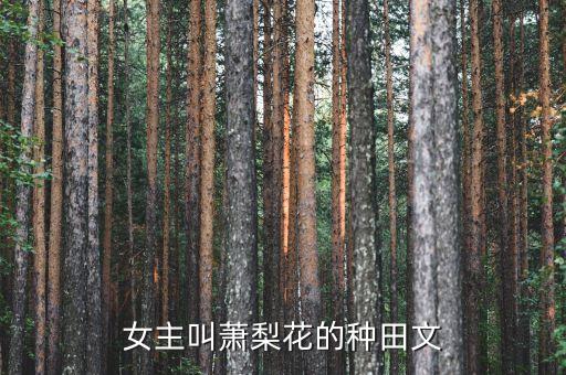 女主叫萧梨花的种田文
