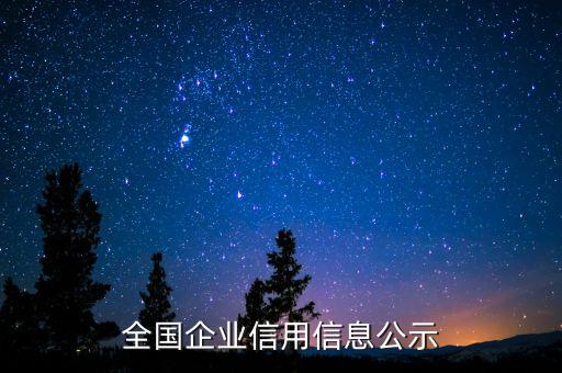 全国企业信用信息公示