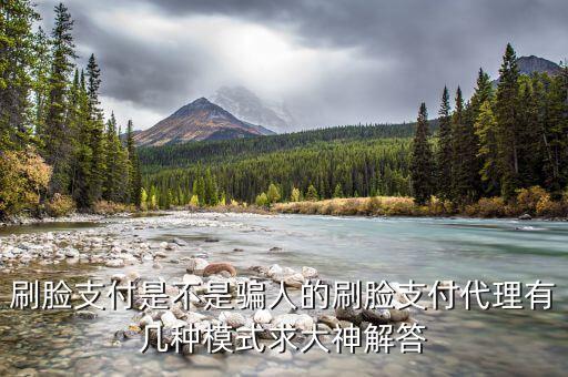 刷脸支付是不是骗人的刷脸支付代理有几种模式求大神解答