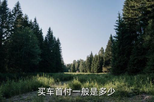 买车首付一般是多少
