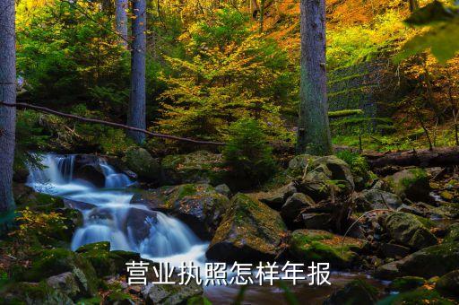 营业执照怎样年报