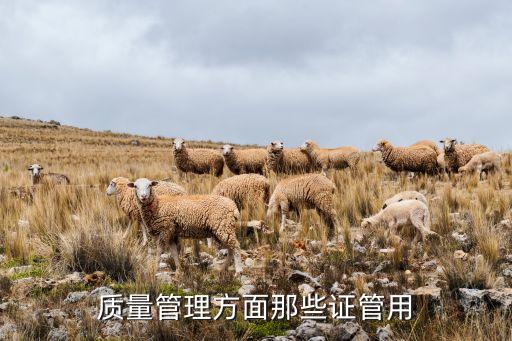 质量管理 证书，质量管理方面那些证管用