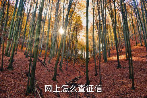 网上怎么查征信