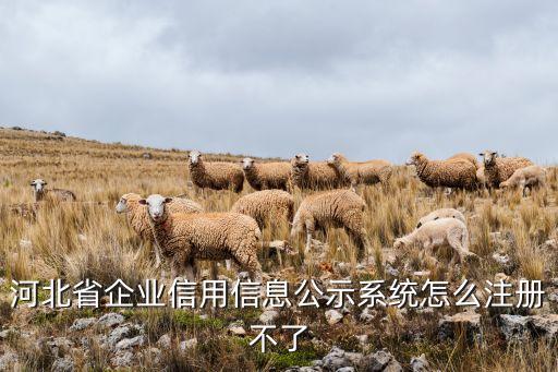 河北省企业信用信息公示系统怎么注册不了