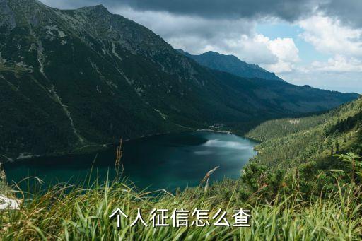 个人征信怎么查