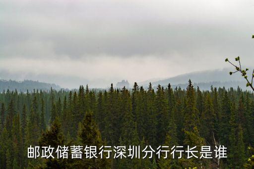 邮政储蓄银行深圳分行行长是谁