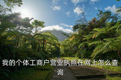 我的个体工商户营业执照在网上怎么查询