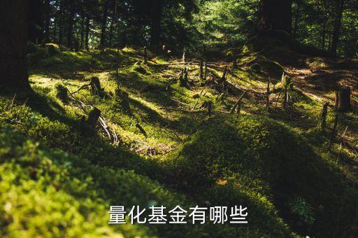 量化基金，什么是量化基金