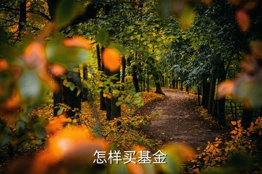 怎样买基金