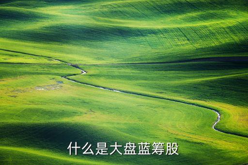 什么是大盘蓝筹股