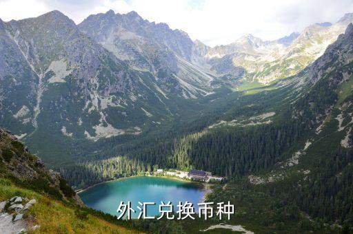 外汇兑换币种