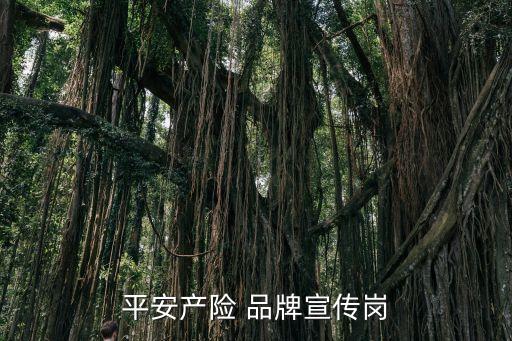 平安产险 品牌宣传岗