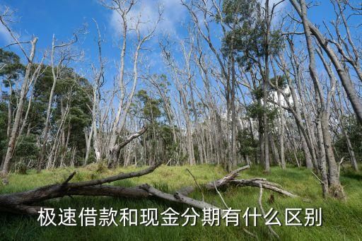 极速借款，京东白条极速版借款是真的吗