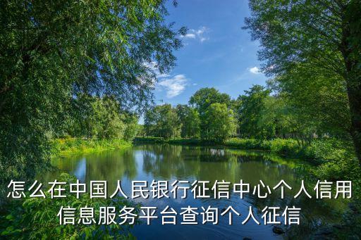 信用信息服务平台官网，征信中心官网查询
