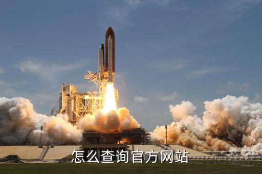 怎么查询官方网站