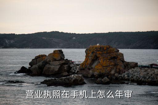 怎么审营业执照在手机上，如何网上审核营业执照