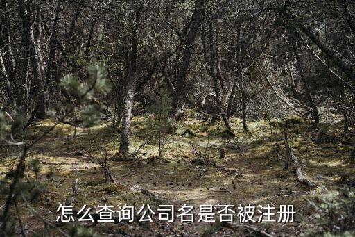 怎样查询公司名称有没有被注册，如何查询公司名字已被注册