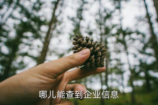 哪儿能查到企业信息