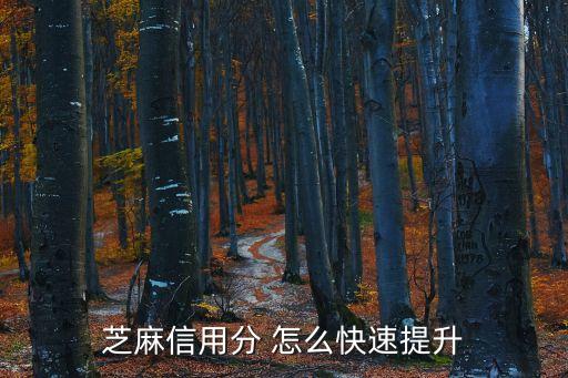 如何提升芝麻信用，芝麻信用分 怎么快速提升