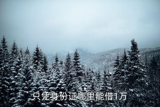 只凭身份证哪里能借1万