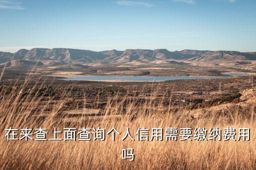 在来查上面查询个人信用需要缴纳费用吗