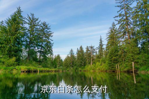 京东白条怎么支付
