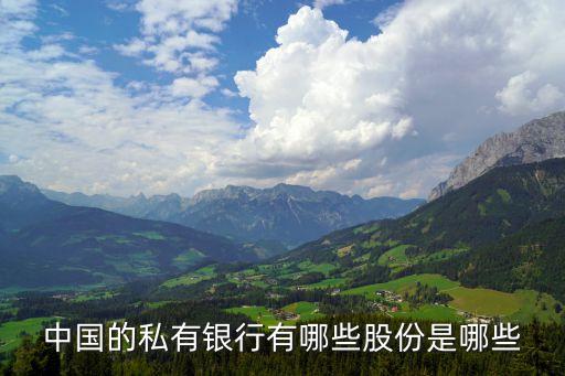 中国的私有银行有哪些股份是哪些