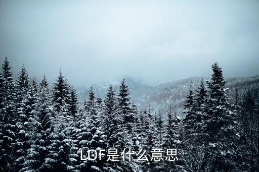 LOF是什么意思