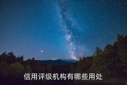 企业信用评级公司是做什么的呀，信用评级机构有哪些用处