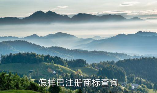 怎样已注册商标查询