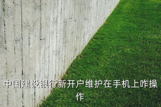 建行维护，中国建设银行新开户维护在手机上咋操作