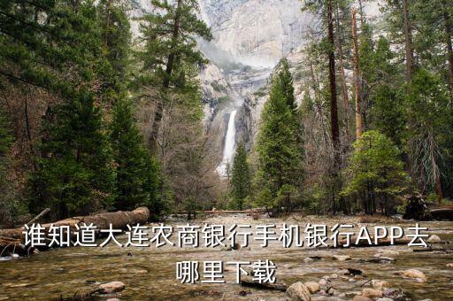 谁知道大连农商银行手机银行APP去哪里下载