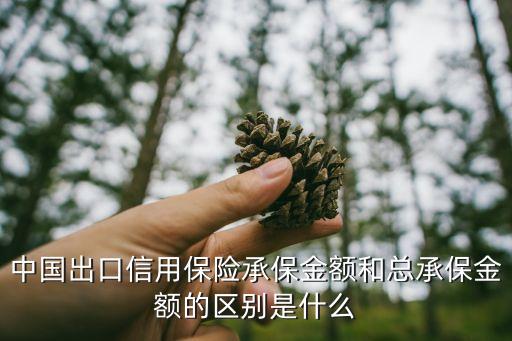 中国出口信用保险承保金额和总承保金额的区别是什么