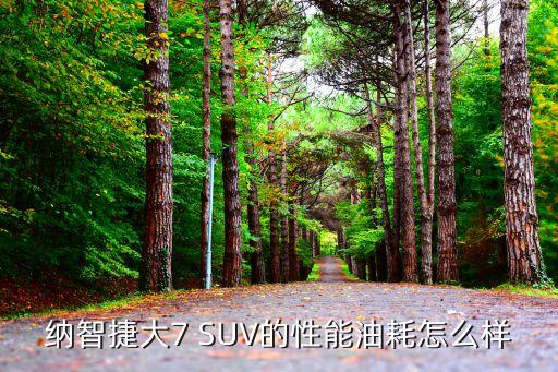 纳智捷大7 SUV的性能油耗怎么样