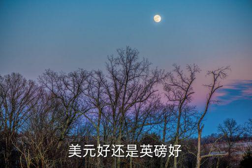美元好还是英磅好