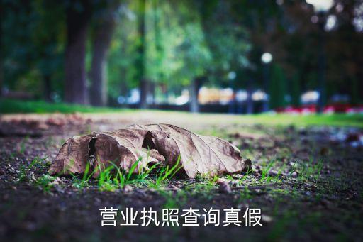 营业执照真假官网查询系统，网上怎么查询工商执照真假