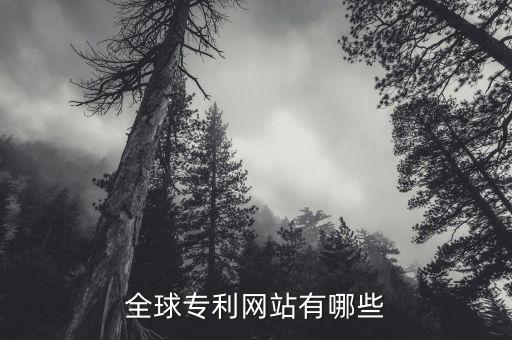 全球专利网站有哪些