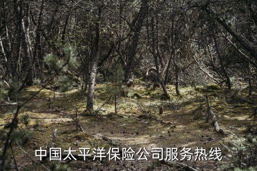 中国太平洋保险公司服务热线