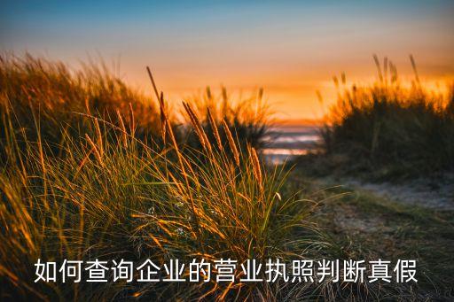 如何查询企业的营业执照判断真假