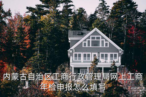 内蒙古自治区工商行政管理局网上工商年检申报怎么填写