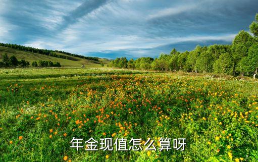年金现值怎么算呀