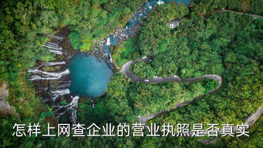 怎样上网查企业的营业执照是否真实