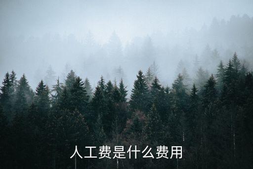 人工费是什么费用