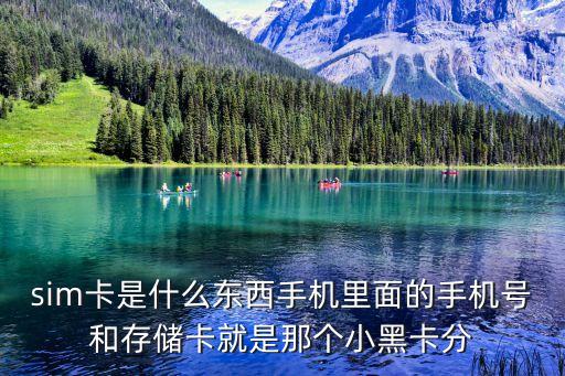 sim卡是什么东西手机里面的手机号和存储卡就是那个小黑卡分