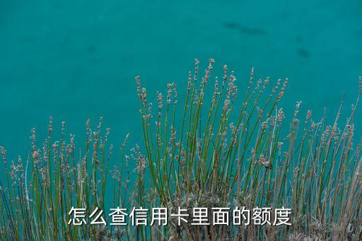 怎么查信用卡里面的额度