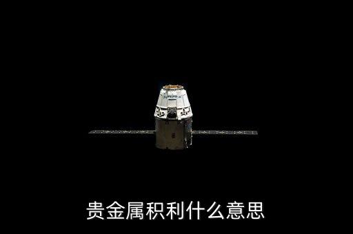 贵金属积利什么意思