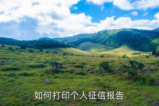 如何打印个人征信报告