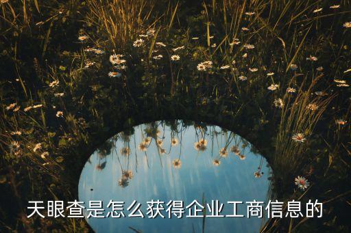 中国天眼查，深圳企业信息查询