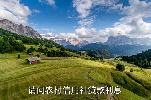 请问农村信用社贷款利息