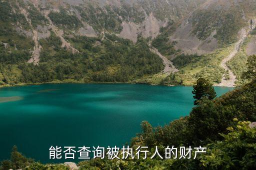 能否查询被执行人的财产